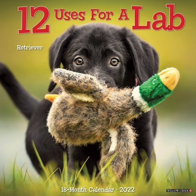 2022 Wall Calendar 12 Uses for a Lab - Willow Creek Press