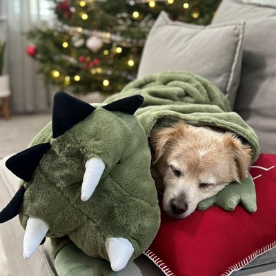 Target discount dinosaur blanket