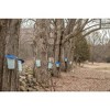 3 Tree Tapping Starter Kit - 3 of 3
