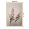 Amanti Art Grass 22X by Mareike Bohmer Wood Framed Wall Art Print - 3 of 4