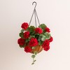 Hanging Geranium Floral Bush (Set of 2) - 2 of 3
