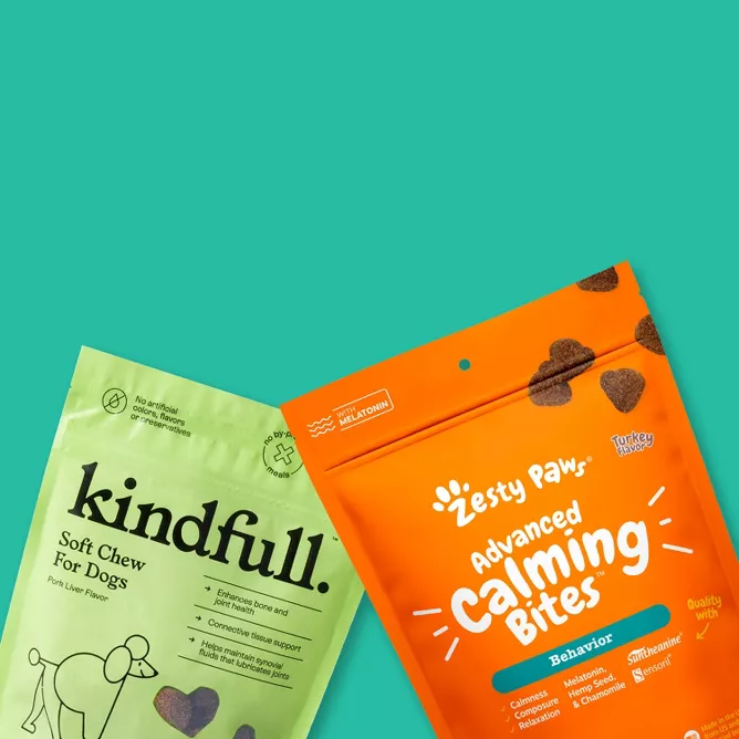 Can You Give Dogs Vitamins