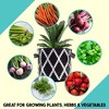 Darware Boho Black and White Grow Bags; 4pc Set Fabric Planter Bags in Geometric Design - 4 of 4