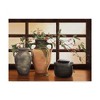 Trademark Fine Art -Cecile Baird 'Olive Jar With Red Berry Branches' Canvas Art - 2 of 3