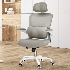 Okak Ergonomic Office Chair with Flip-Up Armrest, Desk Chair with Adjustable Lumbar Support, Computer Chair for Home, Office - 1 of 4