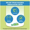Dramamine Advanced Herbals Kids' Nausea Relief Gummies - Strawberry & Ginger - 20ct - 3 of 4