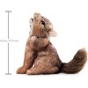 Folkmanis Puppets Mini Coyote Finger Puppet 8005 - 4 of 4