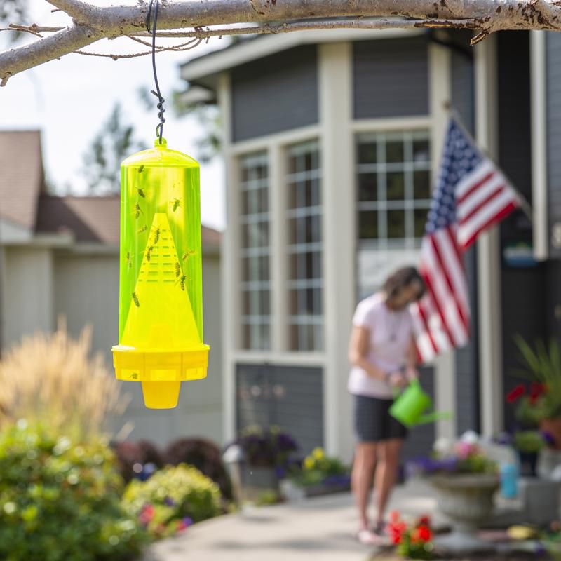 RESCUE Yellow Jacket Trap, 4 of 7