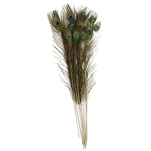 Creativity Street Non-toxic Peacock Feathers, 35 To 40 Inches, Pack Of 12 :  Target