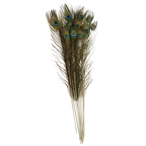 Creativity Street Non-Toxic Peacock Feathers, 35 to 40 Inches, Pack of 12