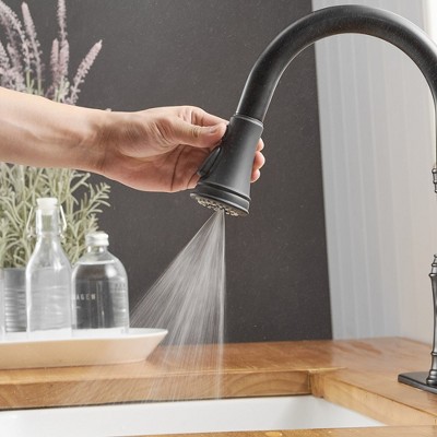 Matte Black Single-Handle Pull-Down Kitchen Faucet with Deck Plate