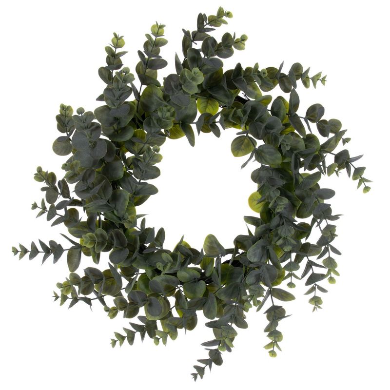 Vickerman 24" Artificial Green Spiral Eucalyptus Wreath, 1 of 6