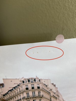 Guest review image 2 of 2, zoom in