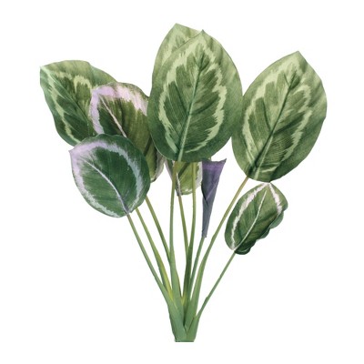 Melrose Foliage Bush (Set of 6)