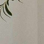 light gray, gray, medium gray