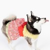 Doggie Design Movie Theater Popcorn Dog Dress with Matching Leash - 3 of 4