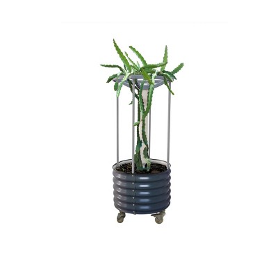Vego Garden Self-Watering Rolling Dragon Fruit Outdoor Planter Pot with Trellis 24"x24"x60"