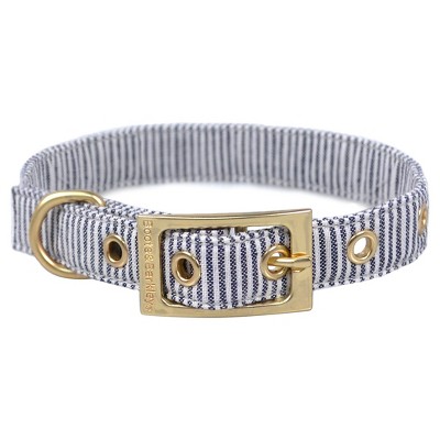 metal buckle dog collar