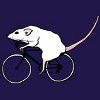 Junior's Design By Humans Cycling Rat By TeaandInk T-Shirt - 2 of 3
