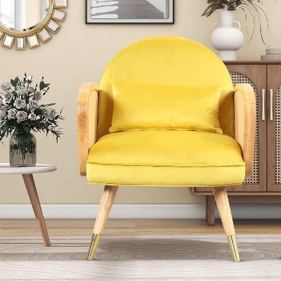 Acekool Mid-Century Accent Chair