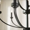 Quorum Lighting Reyes 9-Light Chandelier, Noir Finish, 9 Bulbs, 31.25 Width, 30.5 Height - 3 of 3
