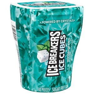 Ice Breakers Sugar Free Chewing Gum, Bottle Wintergreen 40.0 ea - 1 of 4