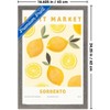 Trends International Reinders: Fruit Market - Sorrento Lemons Framed Wall Poster Prints - 3 of 4
