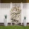 Rosemead Home & Garden Concrete Outdoor Planter Pots Chalk White 17.3"x17.3"x31.4" - 4 of 4