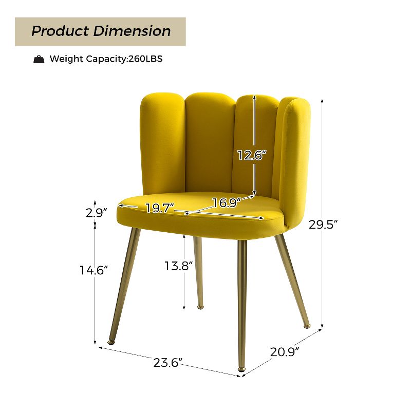 Set of 2 Barbara Contemparary Velvet Vanity Stool For Makeup Room, Moden Accent Side Chairs For Living Room With Shell Back And Golden Metal Legs| ARTFUL LIVING DESIGN, 5 of 12