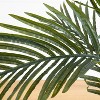 HomeStock  3 ft. Artificial Palm Tree in Pot for Indoor/Outdoor - 4 of 4