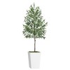 NicBex Artificial Olive Plant Indoor, Fake Tree with White Tall Planter & Moss, Artificial Trees for Home Office Living Room Decor, Green - 4 of 4