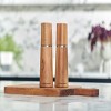 Cole & Mason 7.28" 2pc Ceramic/Acacia/Steel Marlow Gift Set Brown/Silver: Contemporary Salt & Pepper Mills - 4 of 4