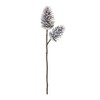 Melrose Pine Cone Pick (Set of 2) - 2 of 3