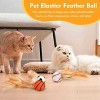 AEELLEEA 3 Pack Interactive Cat Ball Toys: Bouncy Elastic Balls with Natural Feathers for Indoor Cats & Kittens - 3 of 4