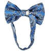 Men's Paisley Design 2.75 W And 4.75 L Inch Pre-Tied adjustable Bow Tie - 2 of 3