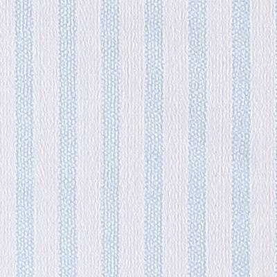 Blue Stripe