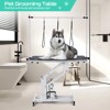 Hydraulic Lift Pet Grooming Table, 350 lbs Capacity, Professional Grooming Table with Adjustable Arm and Lasso - 3 of 4