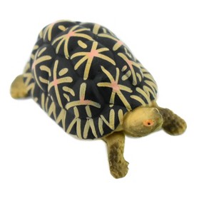 Tortoise, Indian Star Tortoise, Testudinidae, Hand Painted, Realistic Toy Figure, Model, Replica, Kids, Educational, Gift,    2 Inches   CH462 BB114 - 1 of 4
