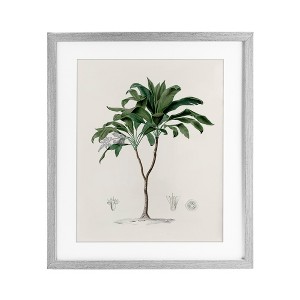 Stupell Industries Vintage Palm Study Framed Print Under Glass - 1 of 4
