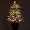 Clearance! 3 FT Pre-Lit Christmas Tree with LED Lights, Lifelike Branches, Tabletop Decor for Home/Office - 3 of 3