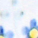 16pc blue posy service for 4 (16pc)