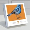 TF Publishing 2025 Daily Desktop Calendar 5.25"x5.25" Birds Backyard and Beyond - image 2 of 4