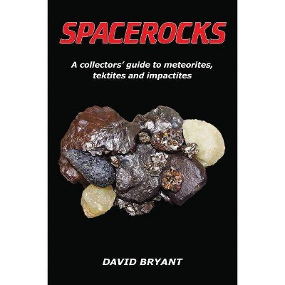 Spacerocks - by  David Bryant (Paperback)