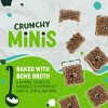 Earthborn Holistic EarthBars Turkey Protein Recipe Natural Dog Treats - 10 oz - 2 of 3