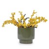 NAYSAYE Planter Set of 3 Ceramic Flowerpot Sleek Glossy Design for Indoor Outdoor Garden, Light Green, 15"*15"*13" - 2 of 4