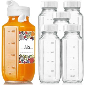 Glass Juice Bottles with Pour Spout, 6 Pack 16 Oz Reusable Milk Bottles with Lids - 1 of 4