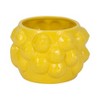 Ceramic Ceramic Planter - Textured Modern Flower Pot with Drainage - Indoor & Outdoor Decorative Plant Holder for Home & Garden - 5" Yellow - 3 of 4