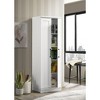 NicBex File Cabinet with Fully Transparent Glass Door,Office Cabinet with Spacious Tier-Shelving Design,Filing Cabinet for Home Office - 2 of 4
