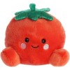 Aurora® Palm Pals™ Cravings Duo 5" Inch Plush Set, Dillian Cucumber & Boyd Tomato - 4 of 4