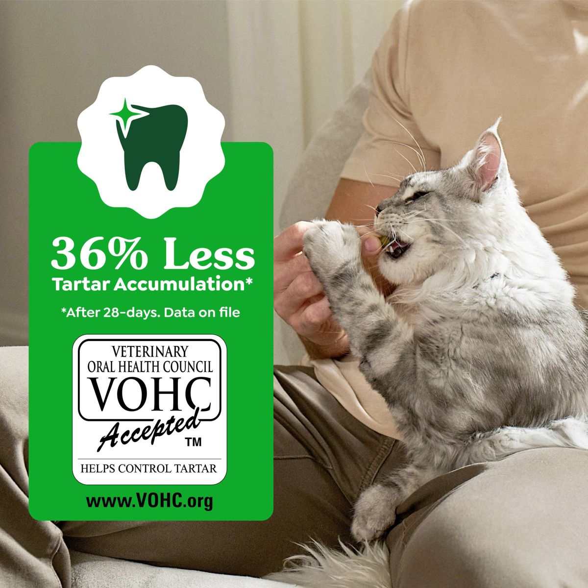 Greenies Savory Salmon Flavor Dental Cat Treats - thumbnail 7
